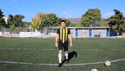 Billpahoulis GIF