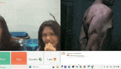 Billpahoulis GIF
