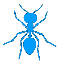 Fashion Week Sunglasses Sticker by Marcel Katz Dalí / The Art Plug