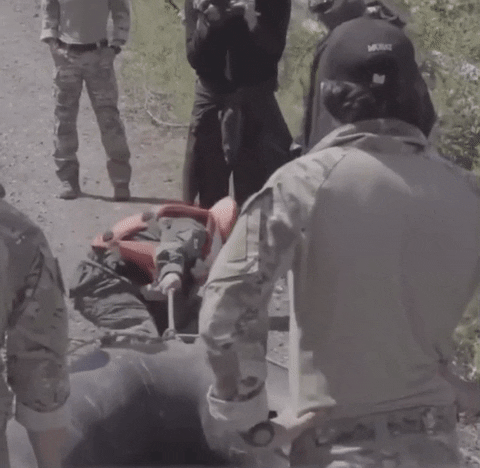 insight1 giphyupload GIF