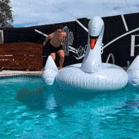 Pool Party Swimming GIF