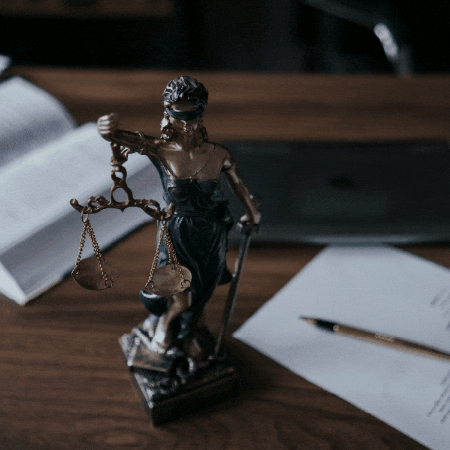 andrewbyerfl giphygifmaker giphyattribution GIF