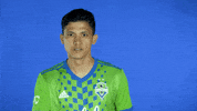 Mls Fredy GIF by Seattle Sounders