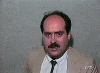 Egg On The Head GIF by CRDI. Ajuntament de Girona