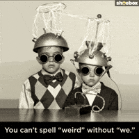 Hallmark Ecards Tesla GIF by Hallmark Gold Crown