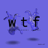 wtf GIF by hands.wtf