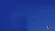 Proud Tsg Hoffenheim GIF by Bundesliga