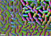 art code GIF by Michel Poisson