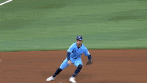 Blue Jays Baseball GIF by Toronto Blue Jays