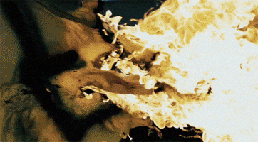 new album beyonce GIF by Vulture.com