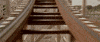 Rollercoaster GIF