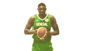 Game Basketball Sticker by FIBA