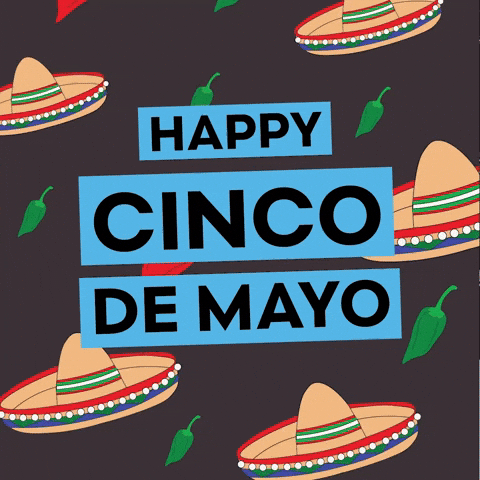 May 5Th Cinco De Mayo GIF by MTVU