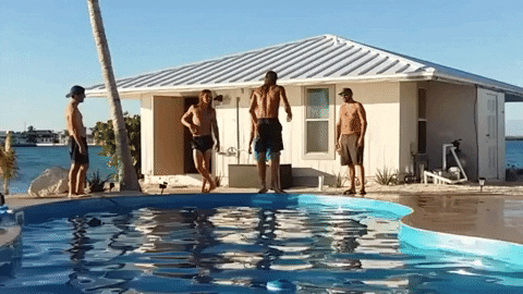 yj_jane giphygifmaker GIF