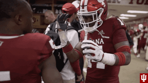 Happy College Sports GIF by Indiana Hoosiers