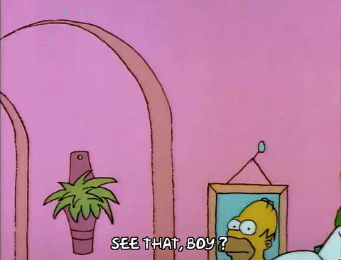 Season 1 GIF by The Simpsons