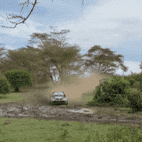 Lets Go Toyota GIF by FIA World Rally Championship
