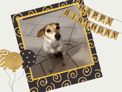 wufflecker giphyupload wufflecker wuffleckerbirthday wuffleckerglückwunsch GIF