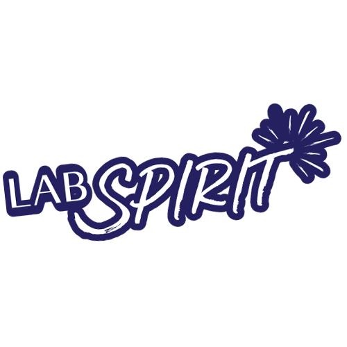 iope giphyupload 아이오페 스킨위크 iope Sticker