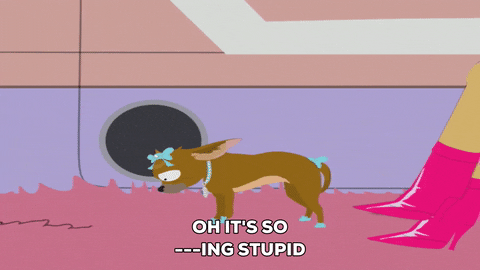 dog shaming GIF by South Park 