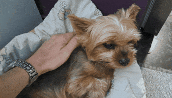 Angry Leave Me Alone GIF