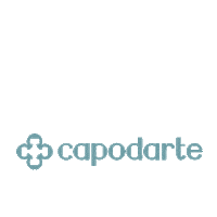 Verão 21 Sticker by Capodarte