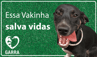 Vakinha GIF by GARRA