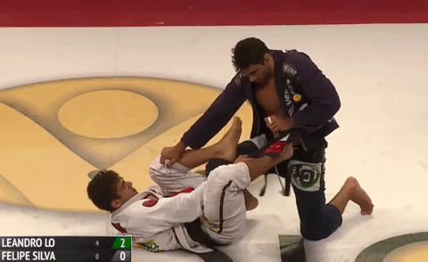 TFSMatt giphygifmaker GIF