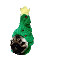 christmas pug STICKER by imoji