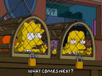 Scared Lisa Simpson GIF by The Simpsons
