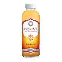 Fall Autumn Sticker by GTsKombucha