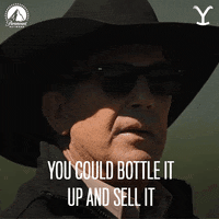 Paramount Network Jd GIF by Yellowstone