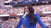 Super Bowl Football GIF by NFL