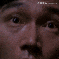 Peter Ho-Sun Chan Horror GIF by Arrow Video