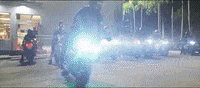 iamannmarie throw it back ann marie GIF