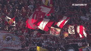 red white love GIF by FC Bayern Munich
