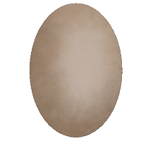 aykimkio food chicken egg eggs Sticker