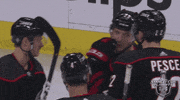 ice hockey GIF by NHL