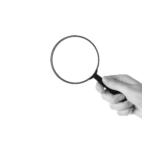 Data Transparency Sticker by Candid