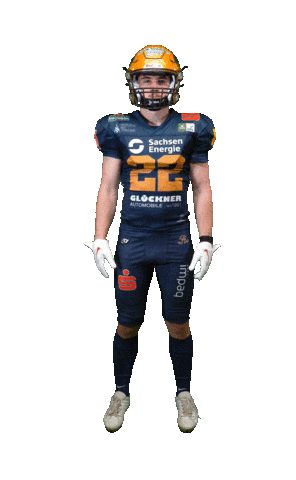 Football Sport Sticker by Dresden Monarchs