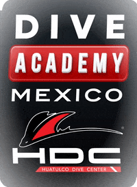 HuatulcoDiveCenter idc scuba scuba diving padi GIF
