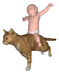 Cat 3D Sticker