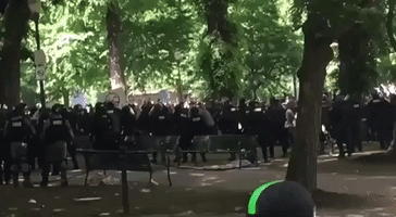 Portland Police Clear Park of Protesters with Flash Bangs, Pepper Spray