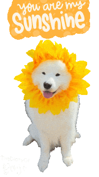 Sun Loving Sticker