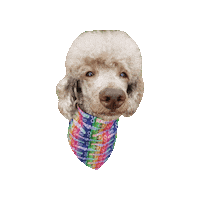 Neurodiversity Sticker by Geekster Pets