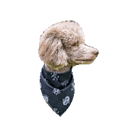 The Witcher Sticker by Geekster Pets