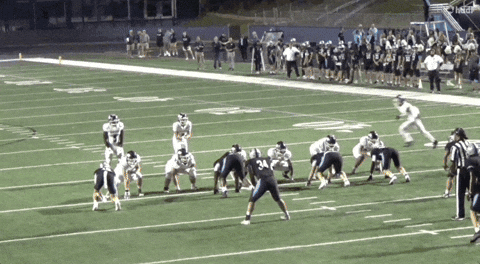 Derp42 giphyupload GIF