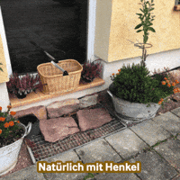 Home Cooking GIF by anndora