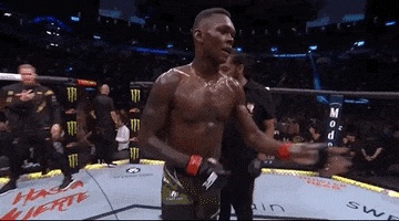 Mixed Martial Arts Sport GIF by UFC