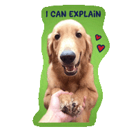 Dog Please Sticker by Awesome Pawsome Treats